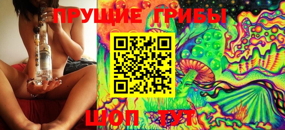 как найти   Псилоцибиновые грибы GOLDEN TEACHER  Вход с VPN  Тара  Псилоцибиновые грибы Psilocybine cubensis 