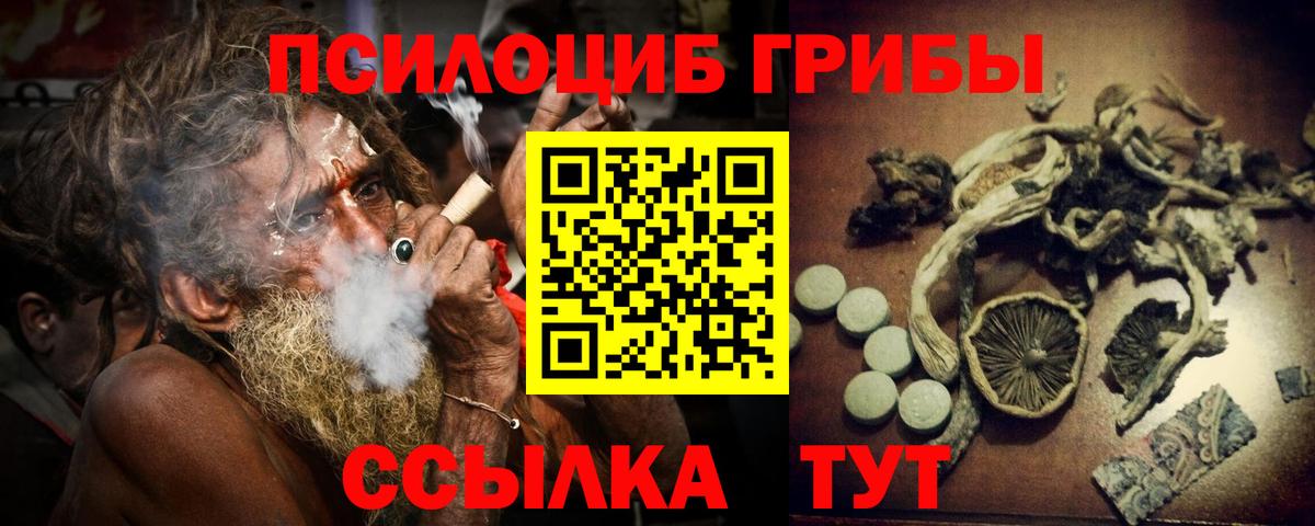 Галлюциногенные грибы Magic Shrooms Тара