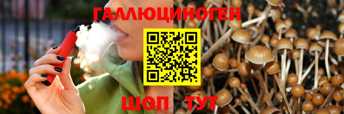 Бошки Шишки Тара